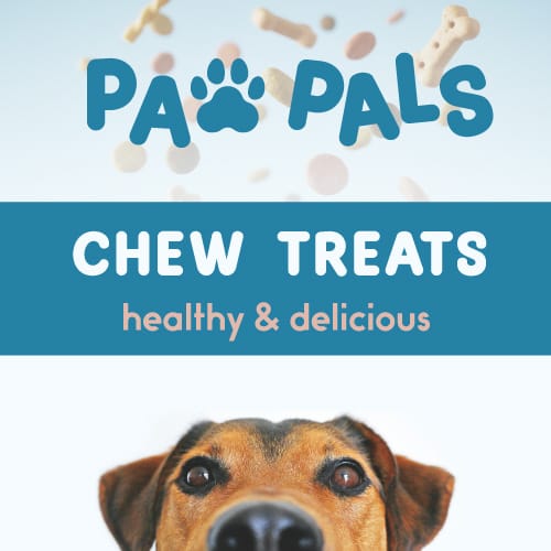 Paw pals marketing design with another cute dog