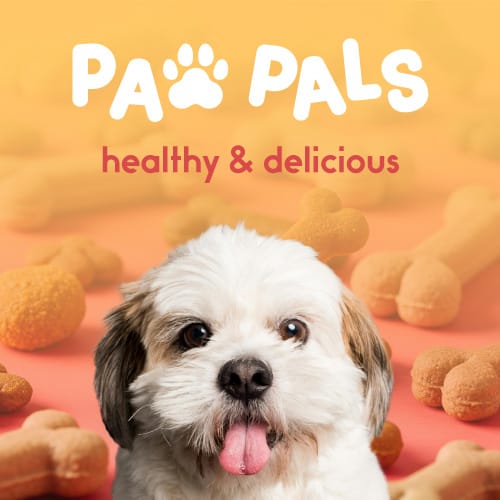 Paw pals marketing design with a cute dog